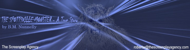 Send Email To: robertw@thescreenplayagency.com