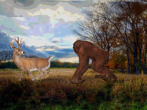 Ohio County Bigfoot Encounter